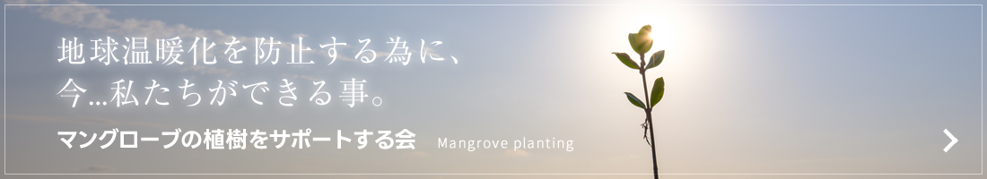 マングローブの植樹をサポートする会
